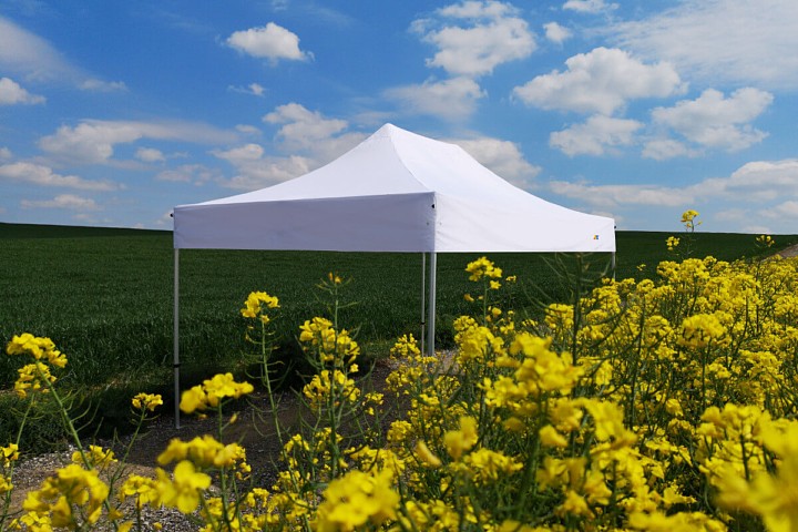 Biely reklamný stan 3x6m v žltom repkovom poli